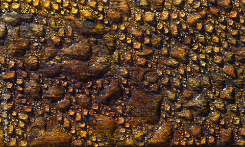 detalhe de madeira molhada com vários pingos de chuva. fundo fotográfico. photo