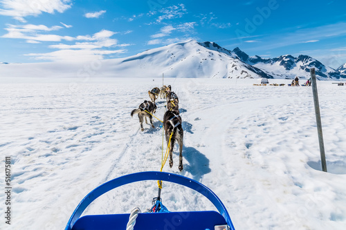 An Alaskan Husky team setting out on a run on the Denver glacier close to Skagway, Alaska in summertime photo