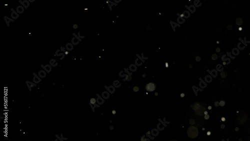 Fotografie, Obraz Dust and wood sawdust on a black background, macro shot