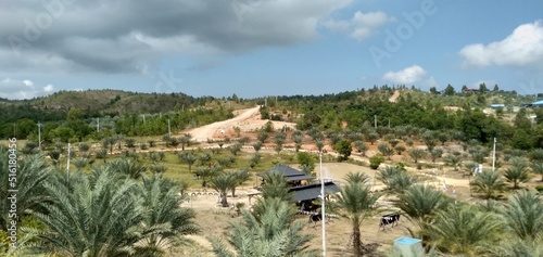 view of the mountains and date tree garden