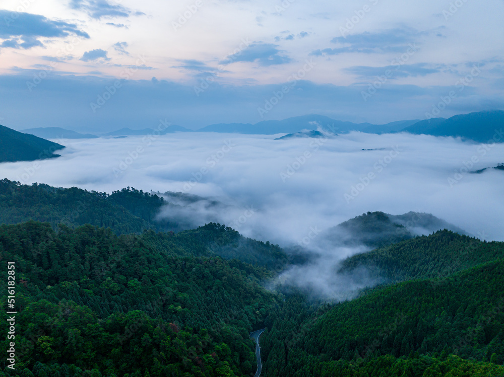 Dense low fog flows into valley at dawn