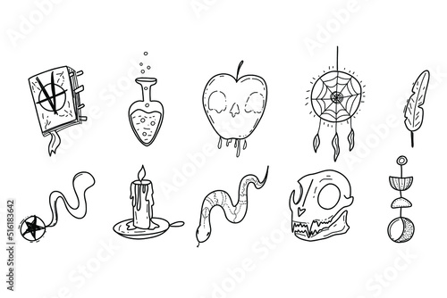 Magic esoteric symbol - scull, snake, poison, cat, moon, candle. Witch hand drawn magic element, mystery sketch vector illustration icons set. Witchcraft, witch esoteric alchemy.