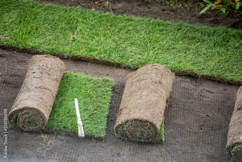 Making a lawn from a roll. photo