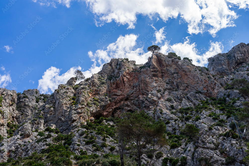 Kamienna góra, na szczycie rosną samotne drzewa. Słoneczny dzień, błękitne niebo. 