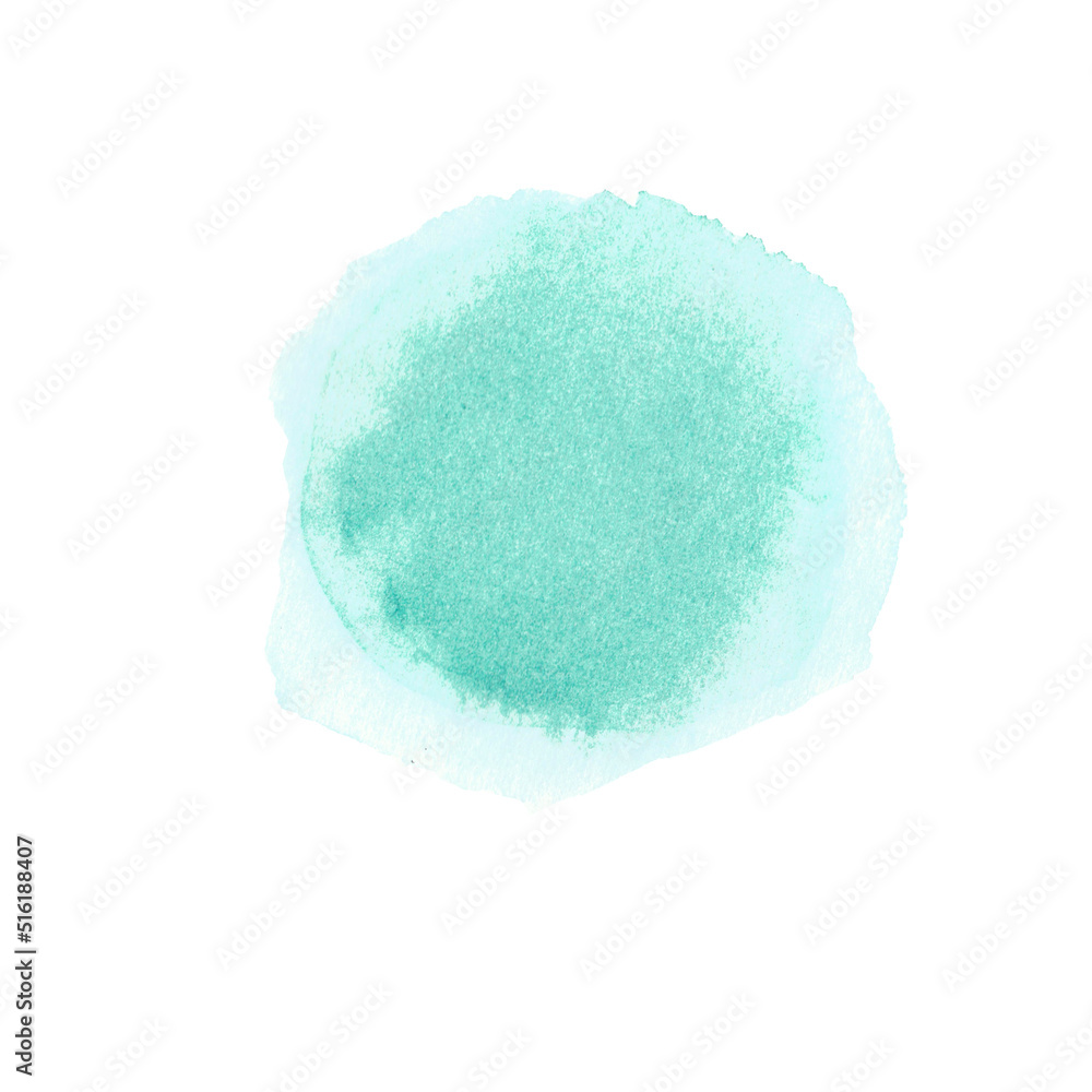 sponge isolated sponge isolated
