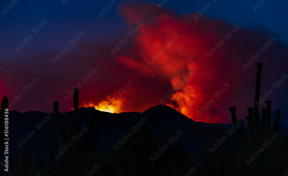 Bush Fire, Arizona
