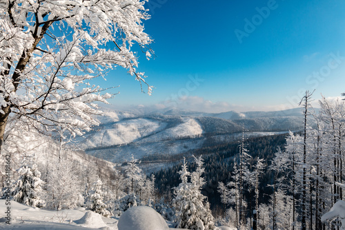 Snowy trees in Polish mountains. Beautiful sunny weather. Few clouds on the sky. Epic view of the forest covered in snow.