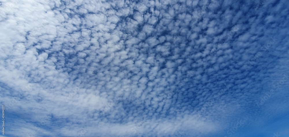 Obraz premium blue texture