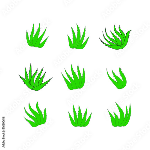 Aloe Vera green logo icon set for natural organic product package label. Aloe Vera leaf sign collection, isolated for cosmetic or moisturizing cream packaging design template 