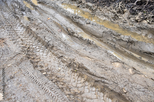 Dirty road in the forest background close up