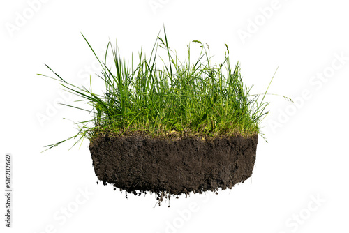 Fotografi Green meadow grass with black ground soil and roots isolated on white background