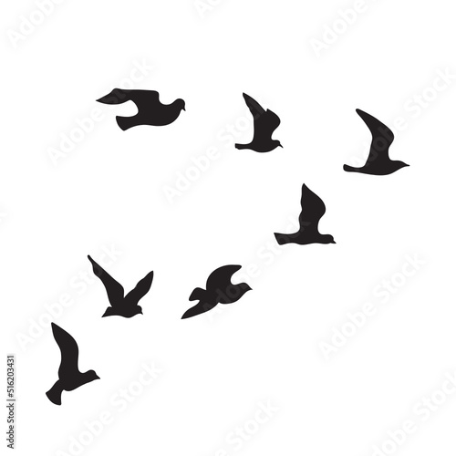 birds flock, vector