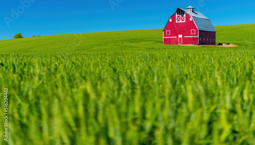 Closeup of wheat and red barn against a blue sky photo