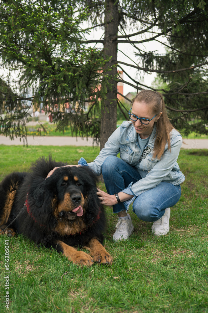 Fototapeta premium Happy woman walking with tibetan mastiff in park