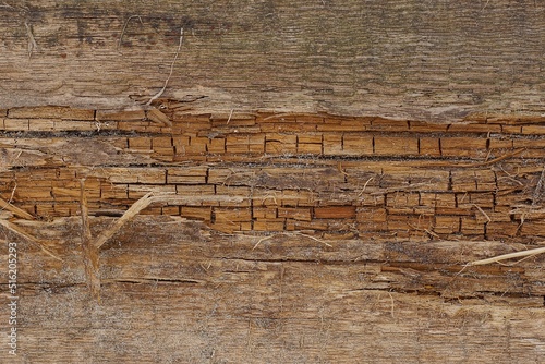 brown wood texture from old and frayed board