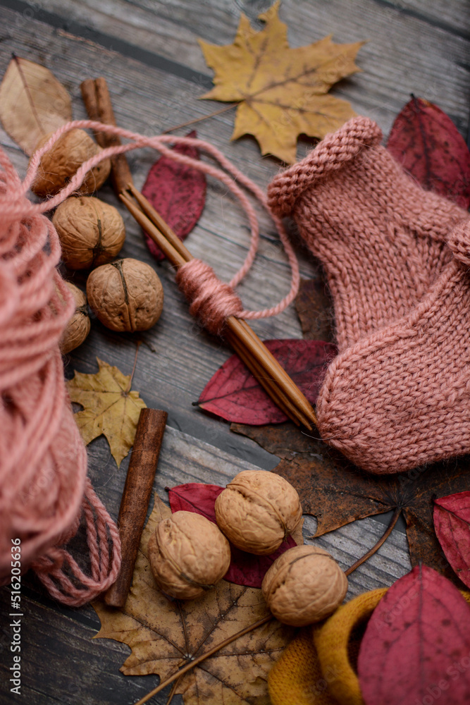 Finished knitting project, soft and unique handmade socks for newborn baby, made of premium alpaca wool yarn, on dark wooden background, dry autumn leaves and walnuts on the table