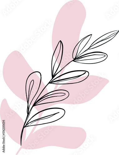 gentle illustration of the twig of myrtle. summer time. print for t-shirt