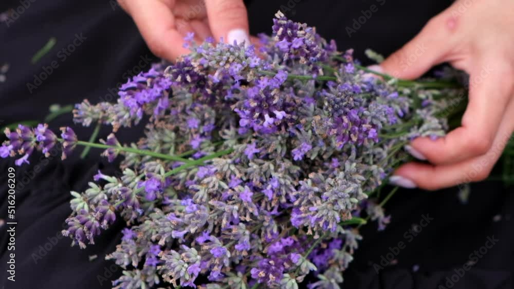 A woman makes a handmade decor from lavender flowers. Close up. Slow motion. A woman makes a handmade decor from lavender flowers. Close up. Slow motion.