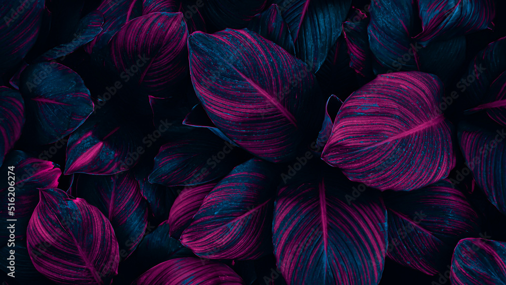 tropical leaves texture background, toned process tropical leaves texture background, toned process
