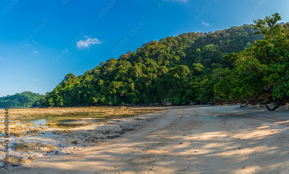 Living coral reef during low tide in Mai Ngam beach, Surin island national park, Pang Nga, Thailand Living coral reef during low tide in Mai Ngam beach, Surin island national park, Pang Nga, Thailand
