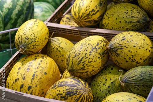 Sale of melons in a hypermarket, Summer Fruits. Fresh organic melons selective focus