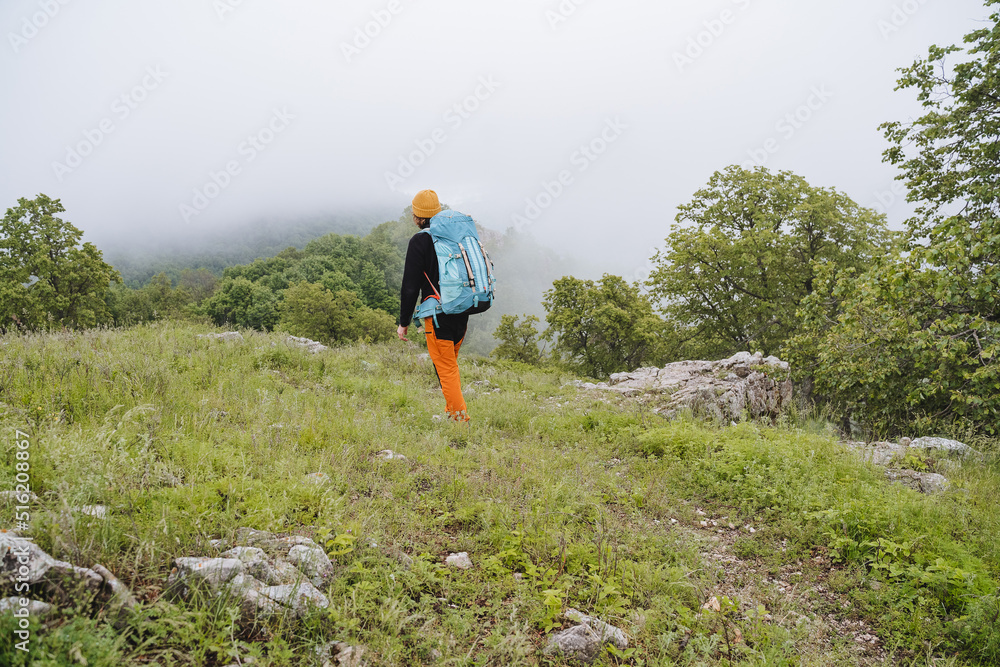 A person goes into the distance against the background of the forest A tourist with a backpack travels through a mountainous area a single hike green grass under his feet a blue backpack