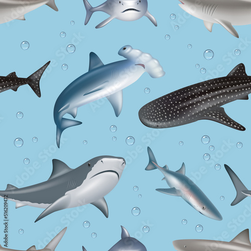Underwater pattern. Angry wild shark swimming decent vector realistic seamless background with fishes