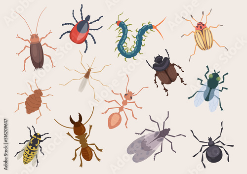 Harmful bugs. Danger insects ladybug ants pests roaches centipede flea exact vector illustrations set © ONYXprj