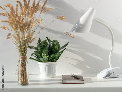 A white lamp on a table in a bright interior, a house plant and a dried flower, a notebook, beautiful shadows on the wall photo