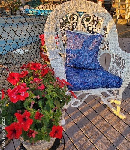 Beautiful red flowers Petunia with white chair. British Columbia Canada.  photo