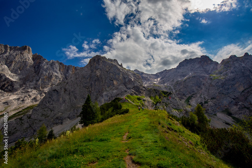 Alps in summer.