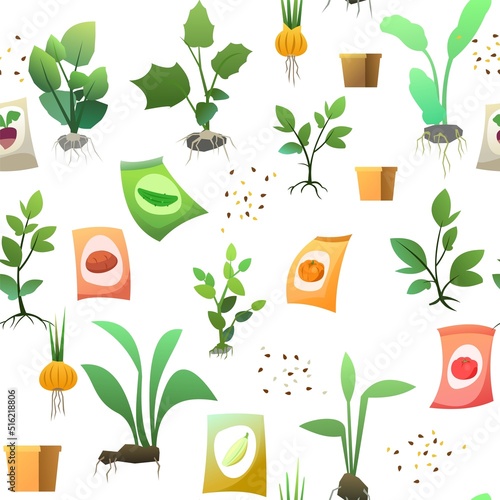 Seedling garden plants with roots. Vegetables fruits. Sunflower seeds. Sowing agricultural material. Seamless pattern. Isolated on white background. Vector
