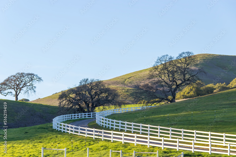 2 White fences are running parallel and  diagonally over a green pasture. There are oak trees on the hilly land. There is a blue sky in the background.
