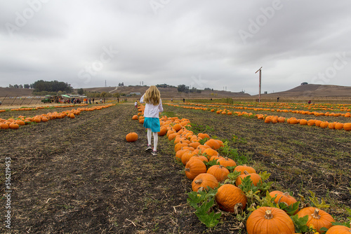 A girl is walking away on a line of orange pumpkins in a dirt field. Other pumpkins can be seen on the lift and right. The girl has a white shirt and blue shorts. A cloudy sky is in the background. © Timothy