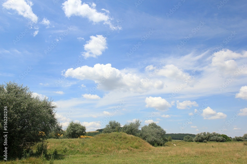 Grassy meadow and sky with clouds in summer