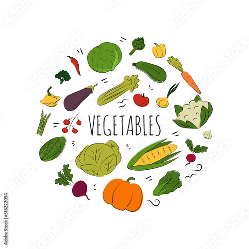 Vegetable set. Vector flat illustration. Vegetarian concept