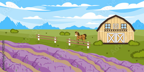 Vector illustration of a beautiful summer farm. Cartoon landscape with lavender field, barn, horse, fence and mountains in the background.