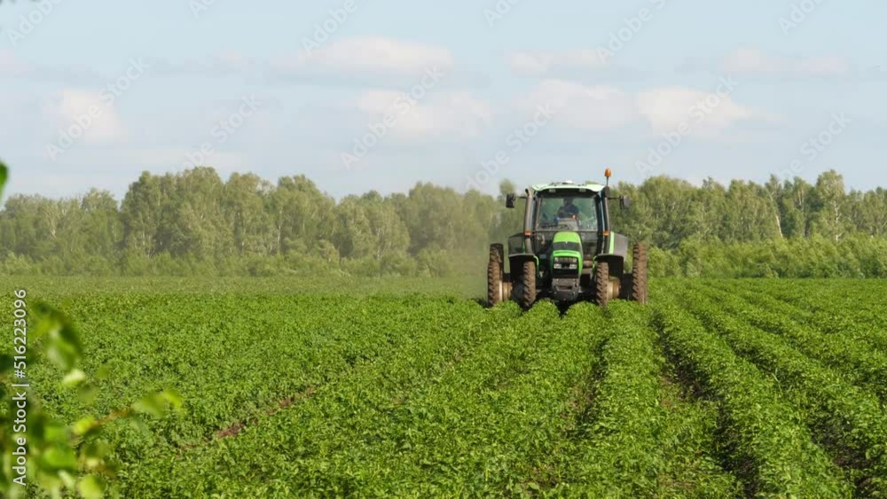 Rural tractor plough hill up potato plants in agriculture field. Tractor hilling potatoes with disc hiller Rural tractor plough hill up potato plants in agriculture field. Tractor hilling potatoes with disc hiller
