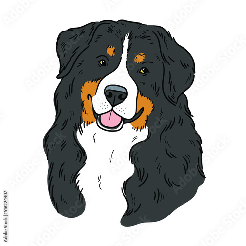 Bernese Mountain Dog face. Vector cartoon portrait of a dog. Pets, dog lovers, animal themed design element isolated on white background.