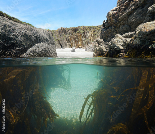 Fotografie, Obraz Narrow passage between rocks to a secluded beach with kelp underwater, split lev