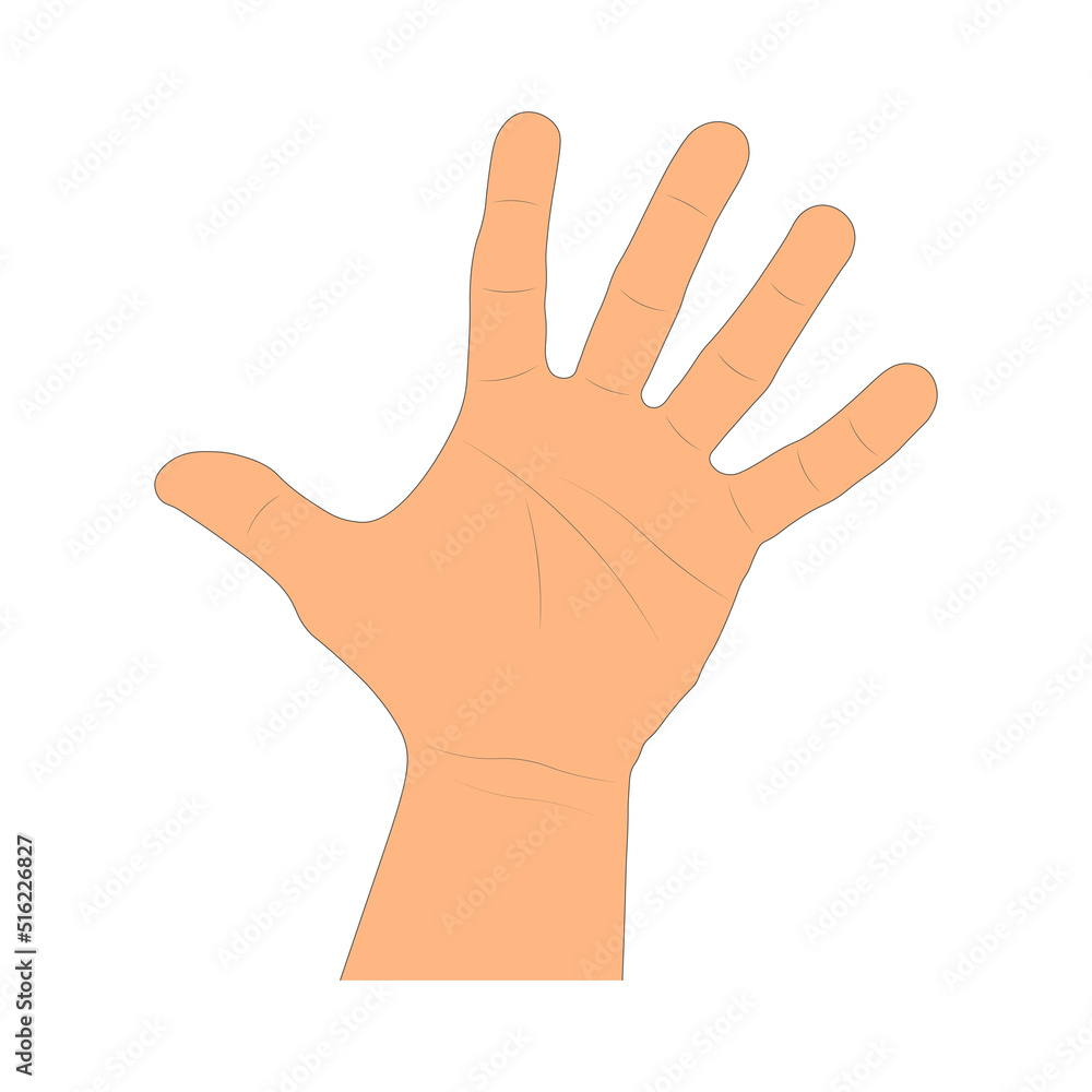 Drawing cartoon human arm isolated on white background. Drawn hand palm. Art style - vector illustration Drawing cartoon human arm isolated on white background. Drawn hand palm. Art style - vector illustration
