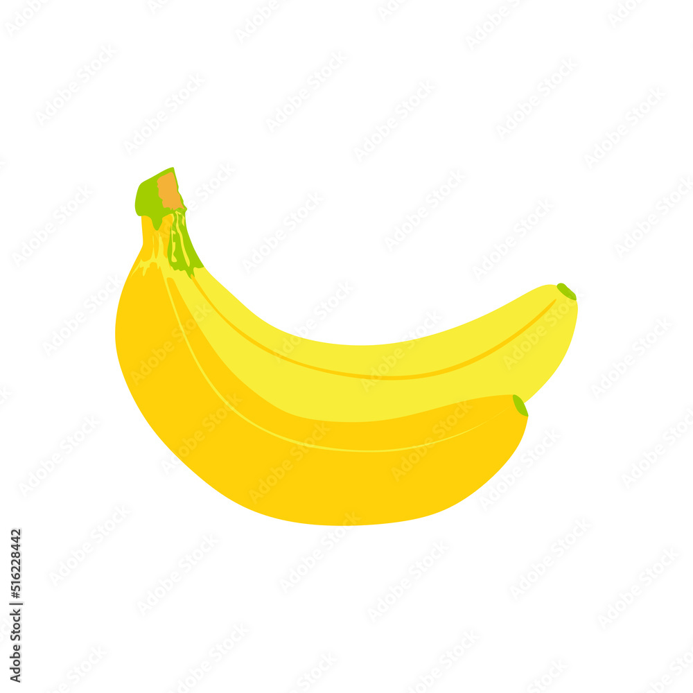 fresh bananas fruits healthy icons. Bunch of bananas isolated on white background . vector illustration