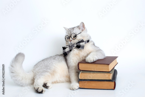 white british cat in a gray bow tie and glasses, lies on a stack of old books, looking away