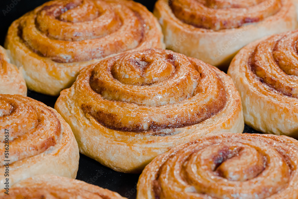 Baked cinnamon buns baking and rising on tray in electric oven - close up view. Homemade bakery, food, cooking, pastry concept Baked cinnamon buns baking and rising on tray in electric oven - close up view. Homemade bakery, food, cooking, pastry concept
