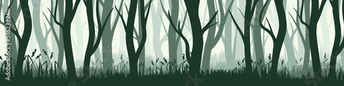 Wild forest with various coniferous or deciduous trees. Wide horizontal banner with various tree trunks silhouettes and grass. Dark misty pine forest landscape, panorama. Vector illustration