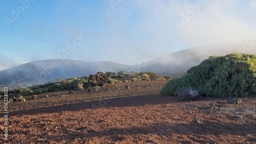 Paisaje con niebla y retama del Teide.