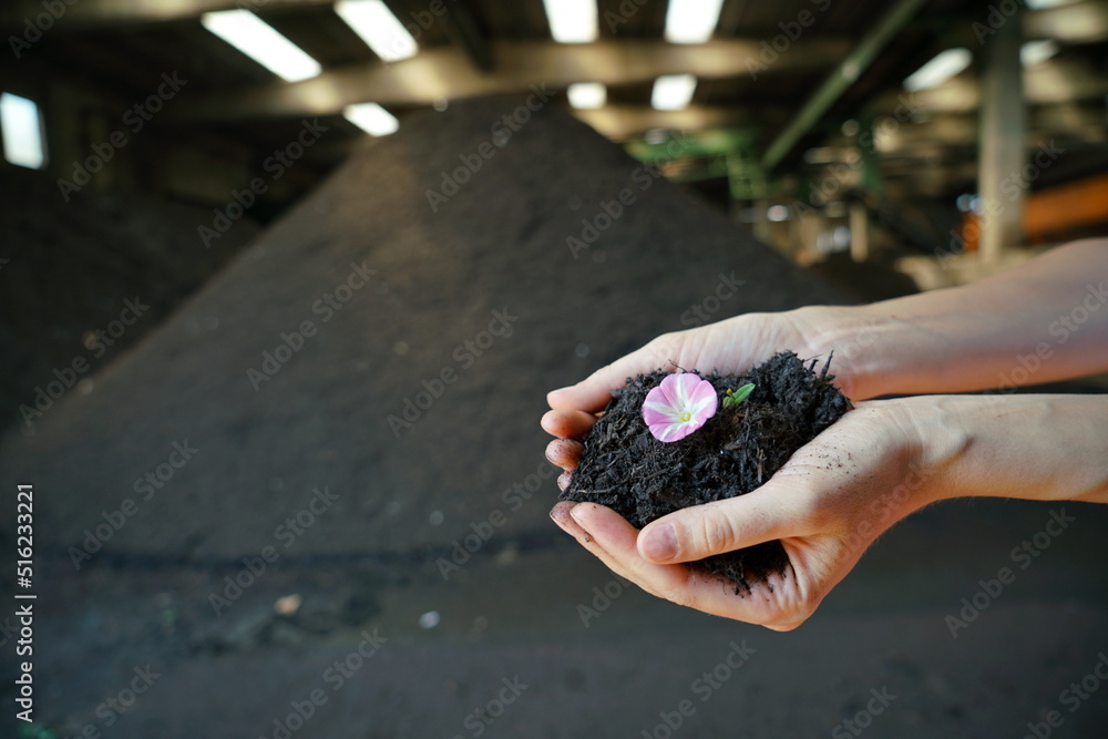 A handful of compost made from organic waste A handful of compost made from organic waste