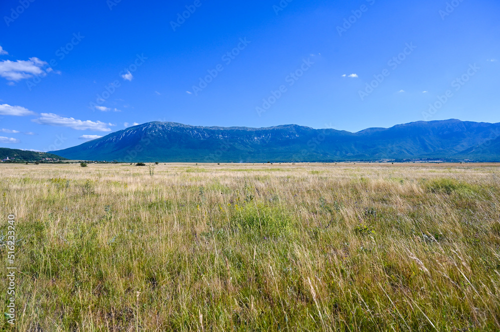 Field with mountains in distance in summer.  Livanjsko polje, Livno, Bosnia and Herzegovina.