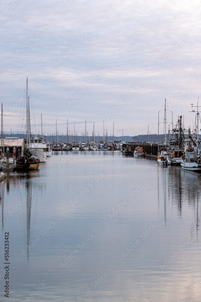 Boats moored at the Everett Waterfront