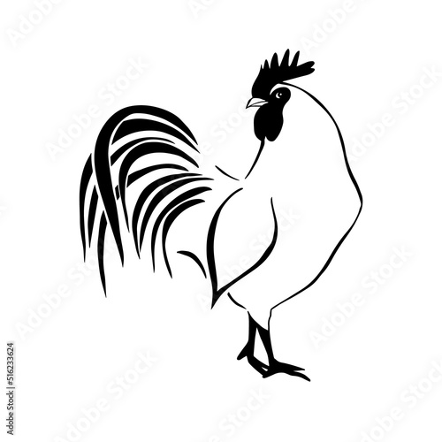 Rooster line. Hand drawn minimalism style. Vector illustration